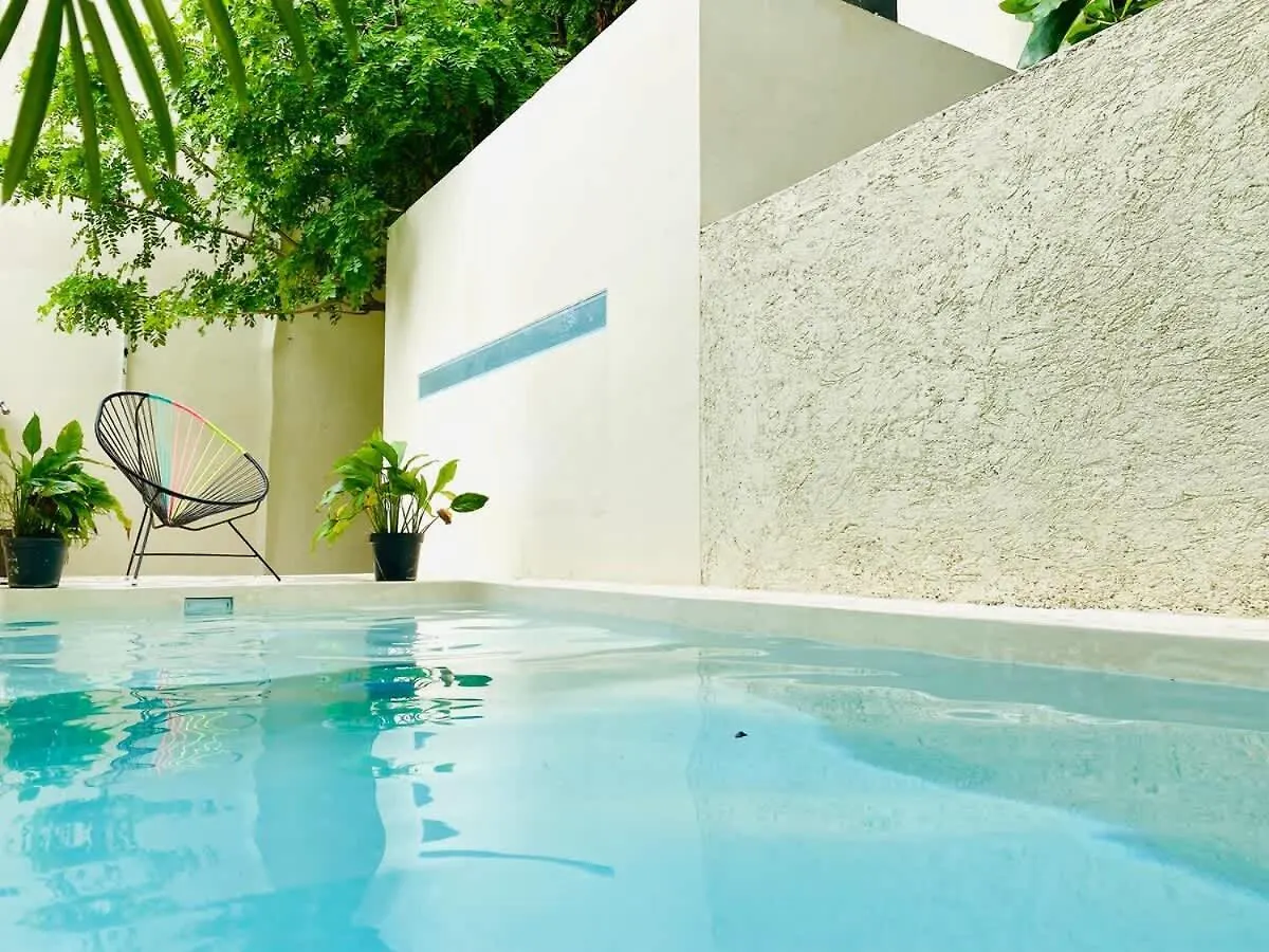 Sweet Apartment Tulum Town Great Pool