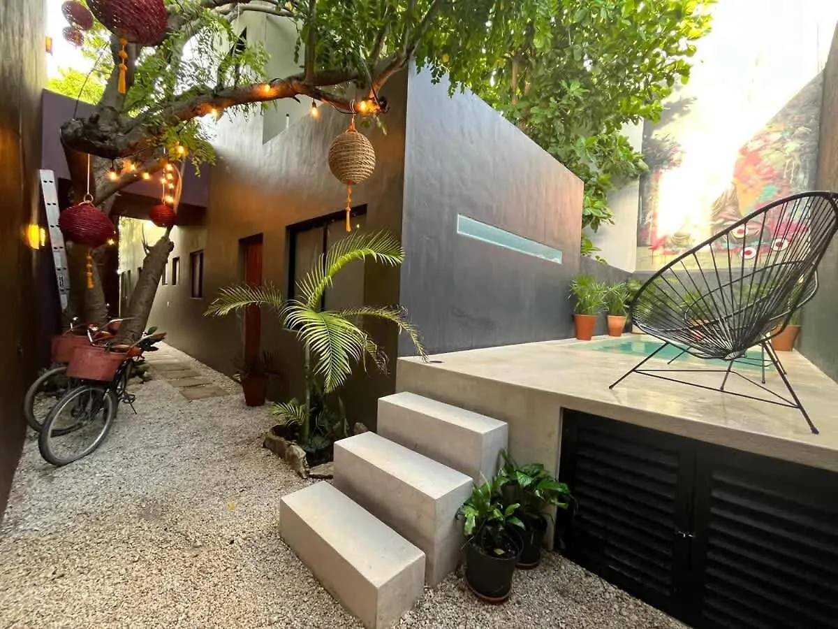 Sweet Apartment Tulum Town Great Pool